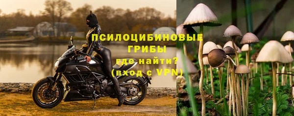 эйфоретик Пестово