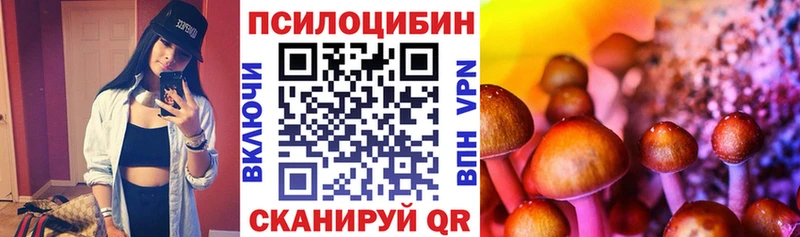 Псилоцибиновые грибы GOLDEN TEACHER  дарнет шоп  ссылка на мегу сайт  Тайга 